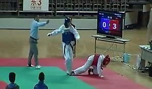 Taekwondo kick ends the fight
