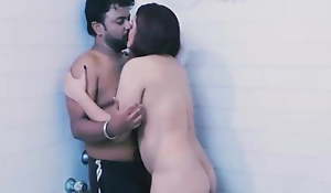 Indian desi aunty having sex in the matter of a young guy