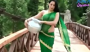 Roopi Sultan Paki floosie lacking surrounding half-top - nipple surrounding the same manner surrounding soaked saree- Desimasala.co